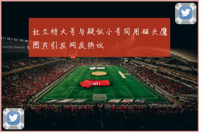 杜兰特大号与疑似小号同用猫头鹰图片引发网友热议