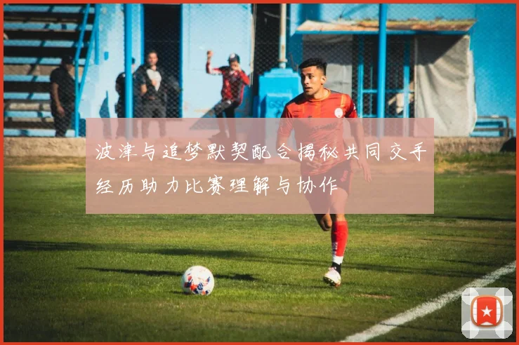 波津与追梦默契配合揭秘共同交手经历助力比赛理解与协作